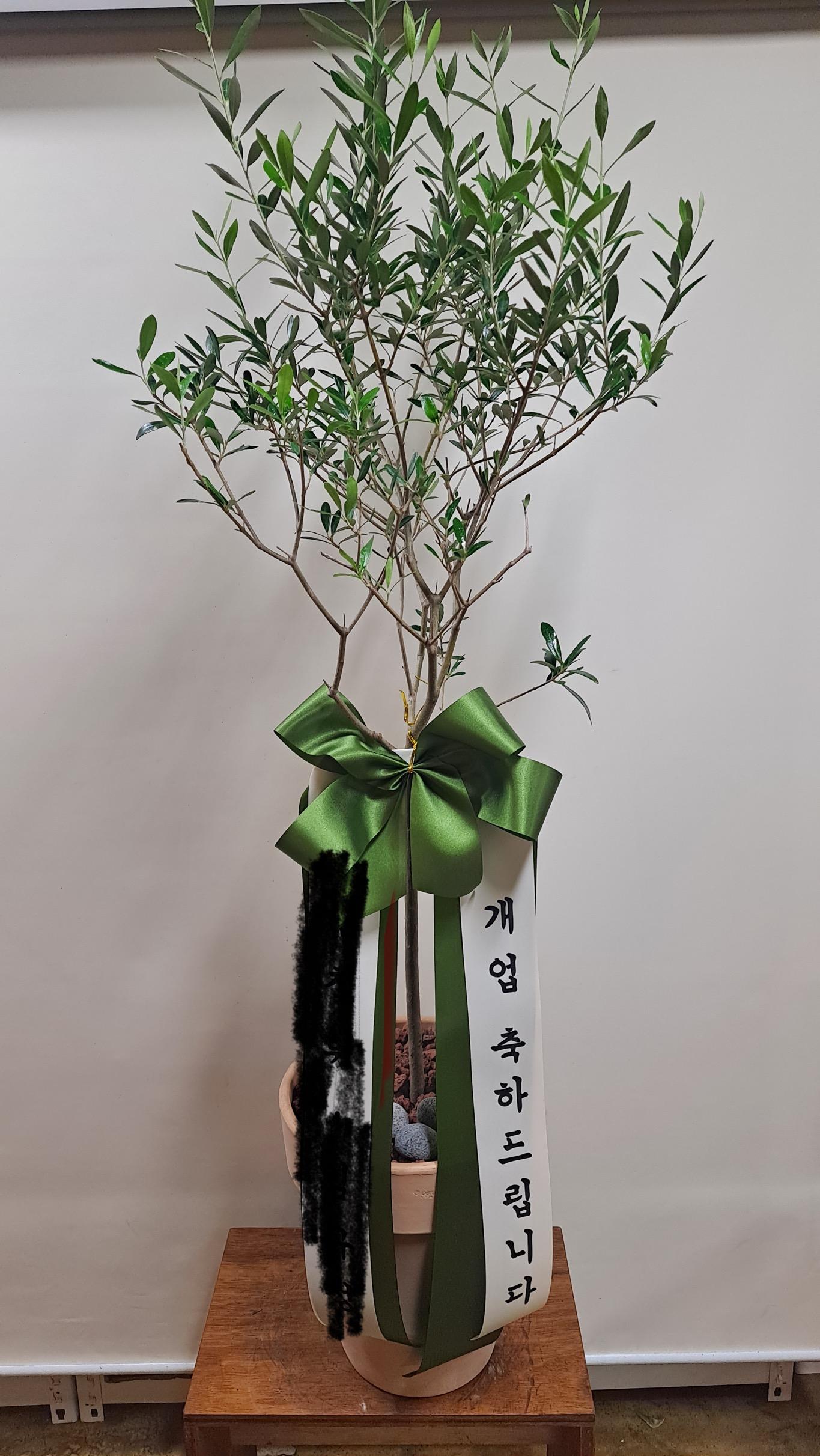 리뷰사진-0