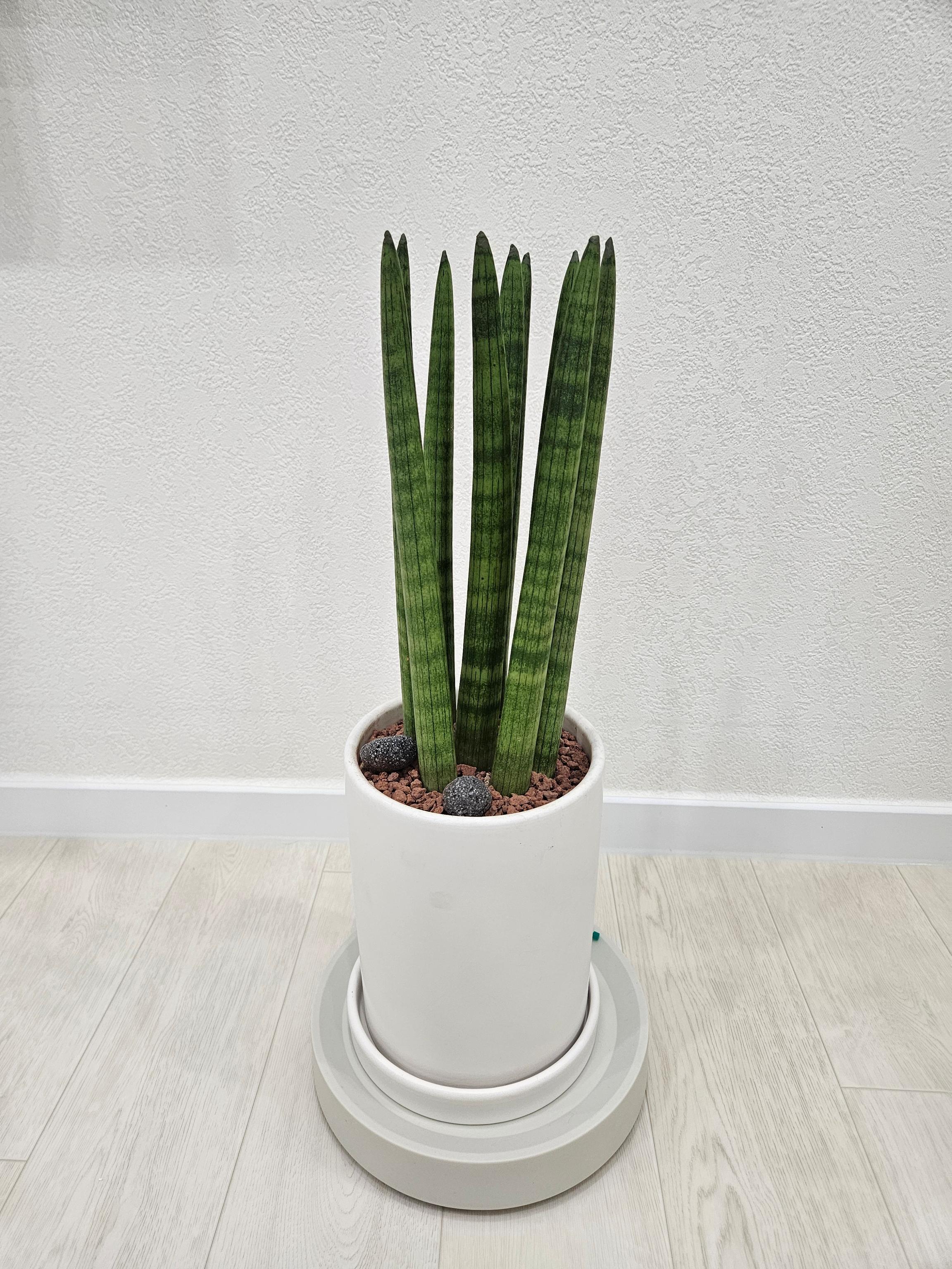 리뷰사진-0