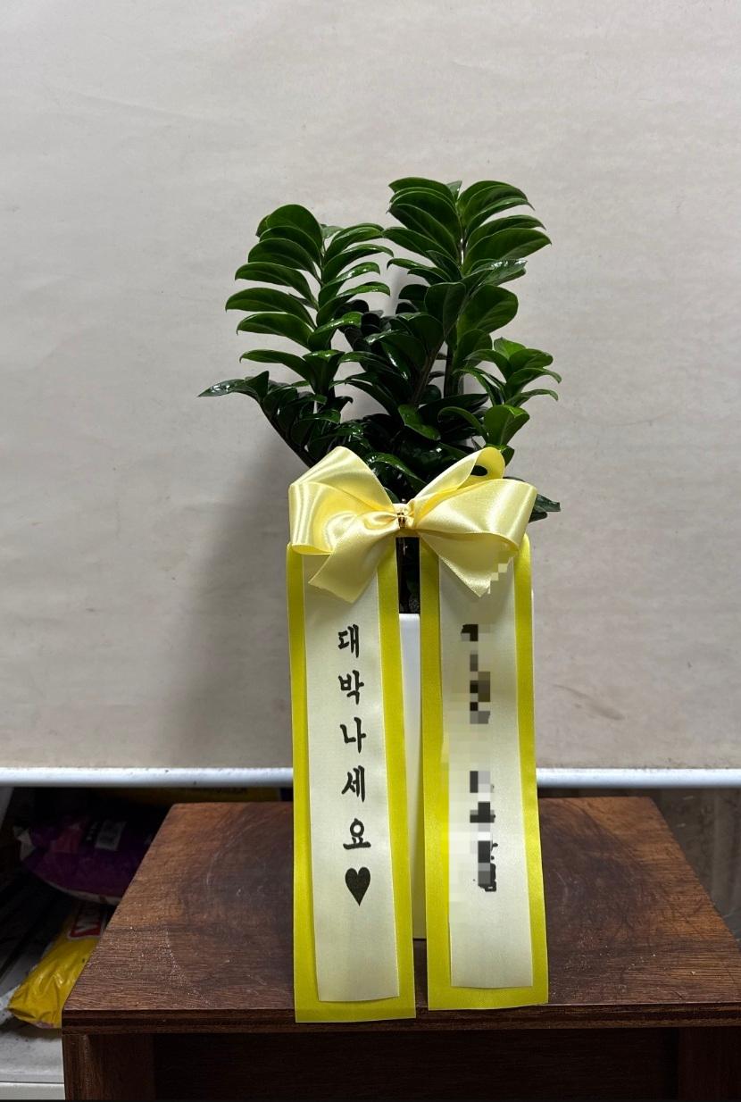 리뷰사진-0