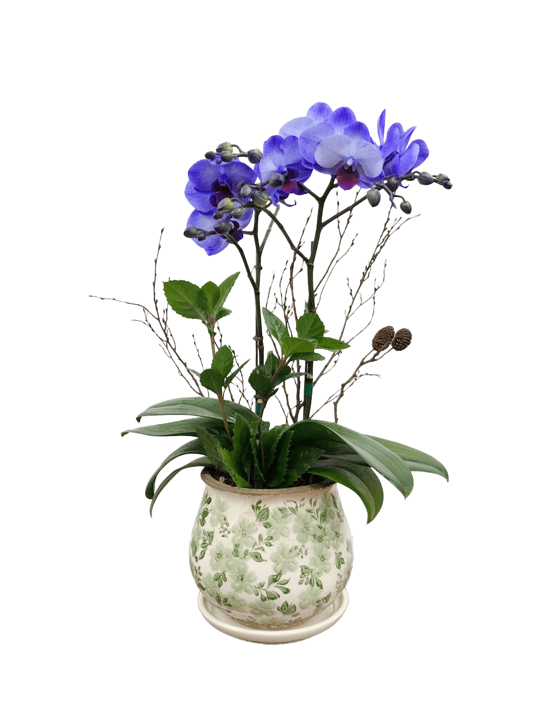 호접 아바타(2대)-세라믹 꽃무늬 그린