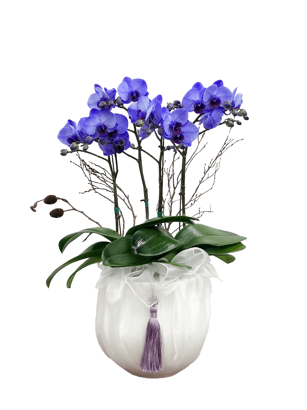 호접 아바타(4대)-줄무늬 화이트+화이트 보자기