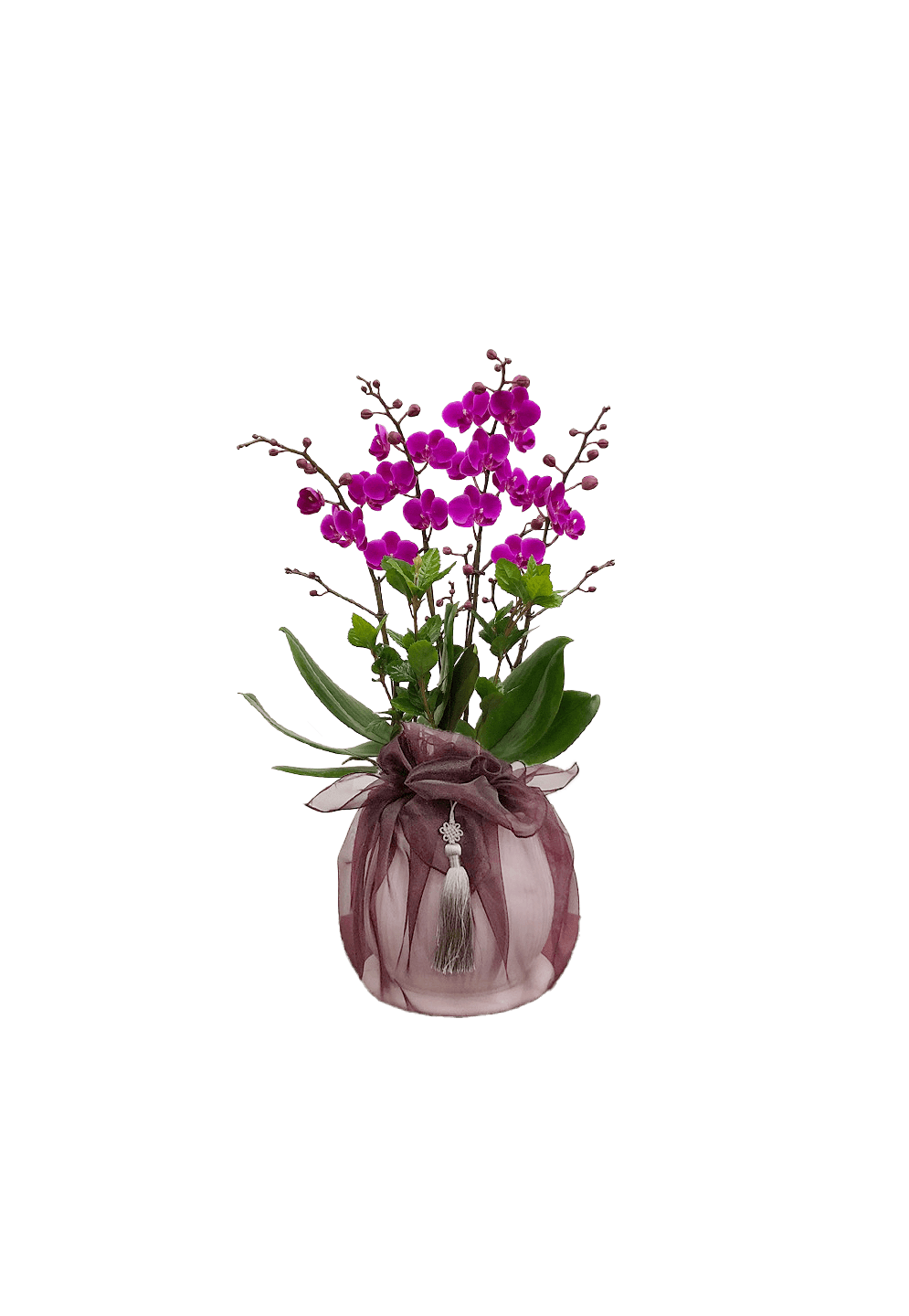 호접 자주색(4대)-줄무늬 화이트+자주 보자기