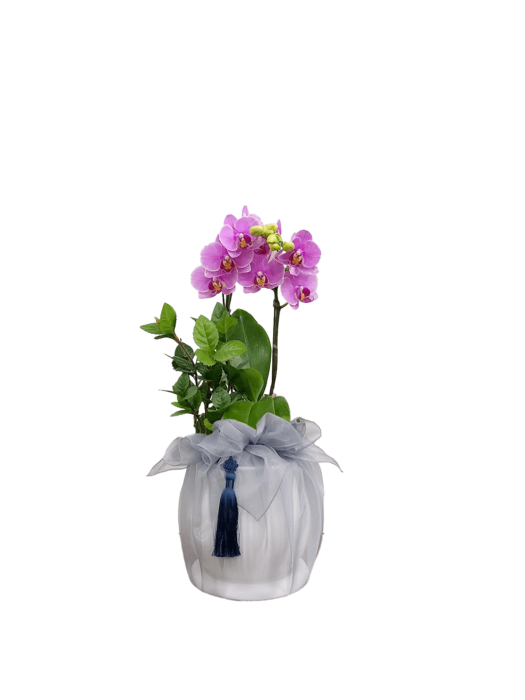 호접 분홍(2대)-줄무늬 화이트+그레이 보자기