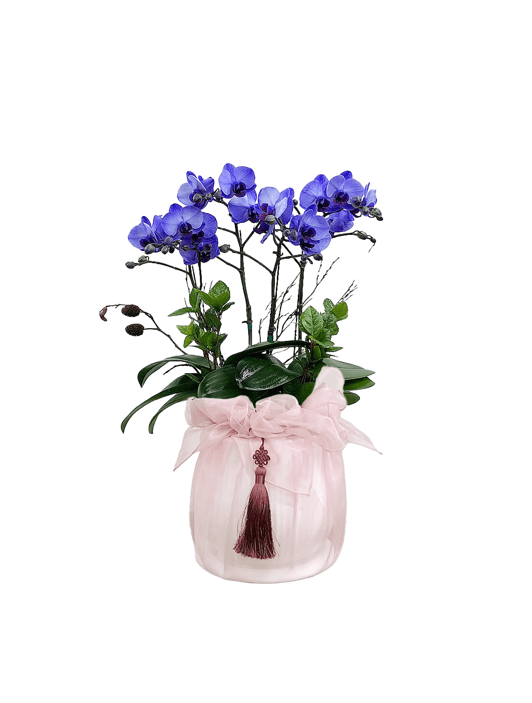 호접 아바타(4대)-줄무늬 화이트+연분홍 보자기