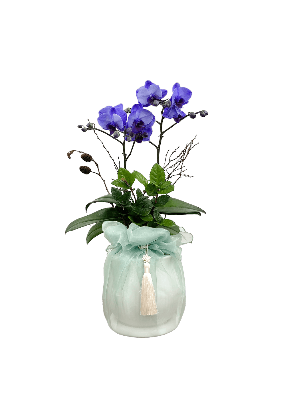 호접 아바타(2대)-줄무늬 화이트+옥색 보자기