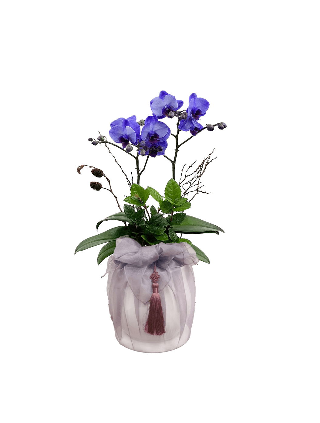 호접 아바타(2대)-줄무늬 화이트+팥색 보자기