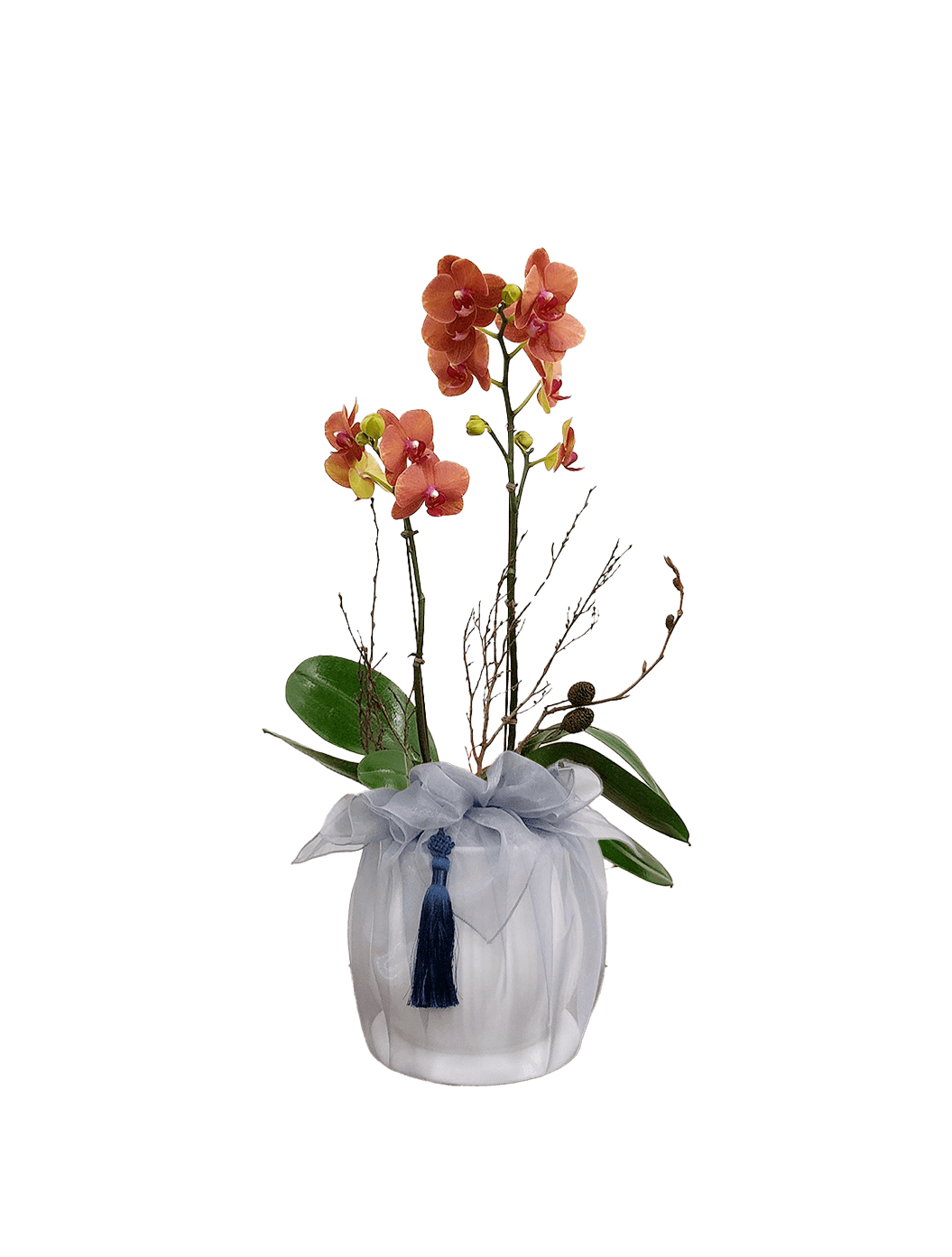 호접 오렌지(2대)-줄무늬 화이트+그레이 보자기