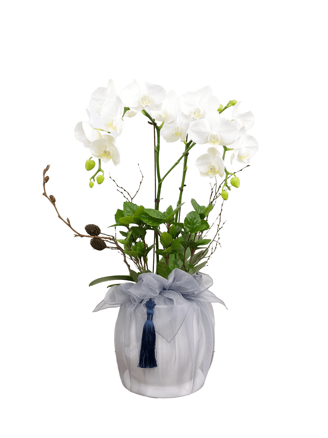 호접 화이트(2대)-줄무늬 화이트+그레이 보자기