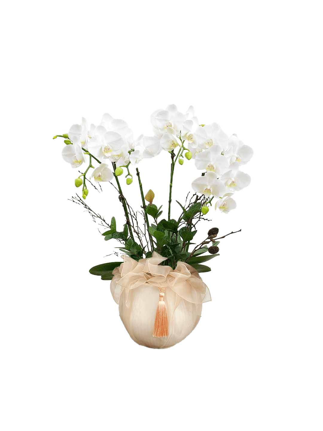 호접 화이트(4대)-줄무늬 화이트+주황 보자기