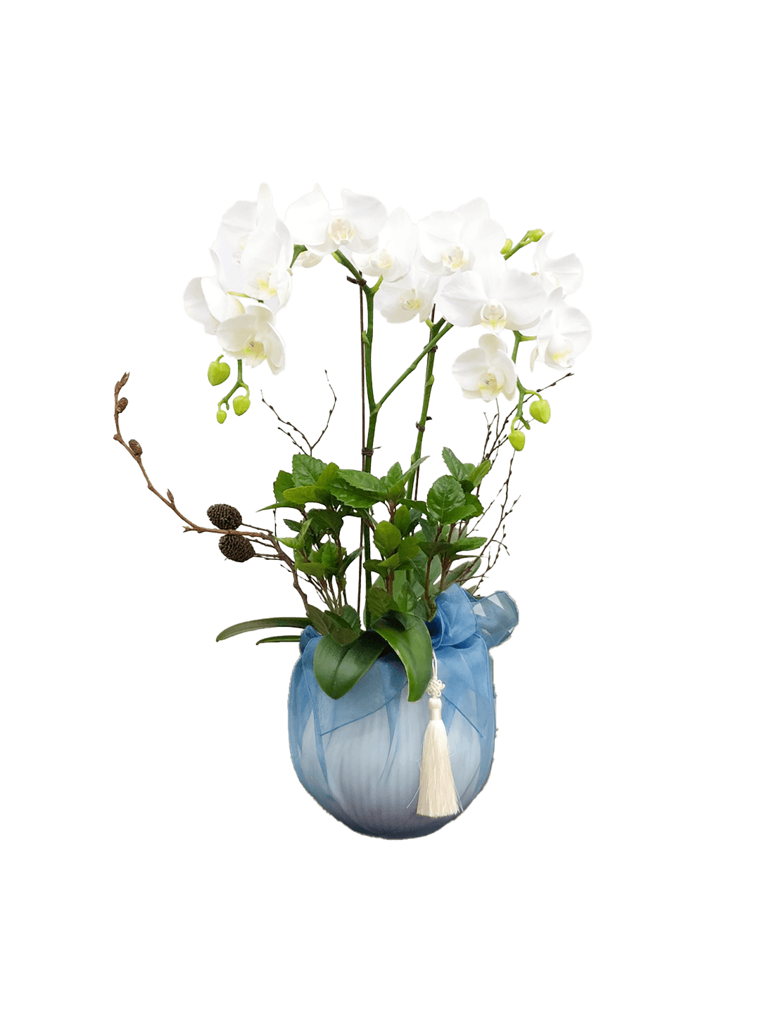 호접 화이트(2대)-줄무늬 화이트+블루 보자기