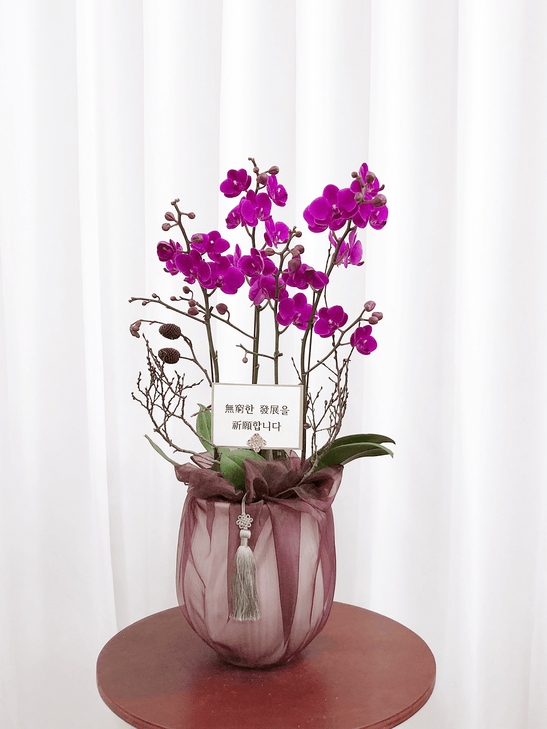 만천홍 호접란 서양난 승진 영전 축하난 부모님 선물 꽃배달 개업화분 오픈 사무실이전 카페
