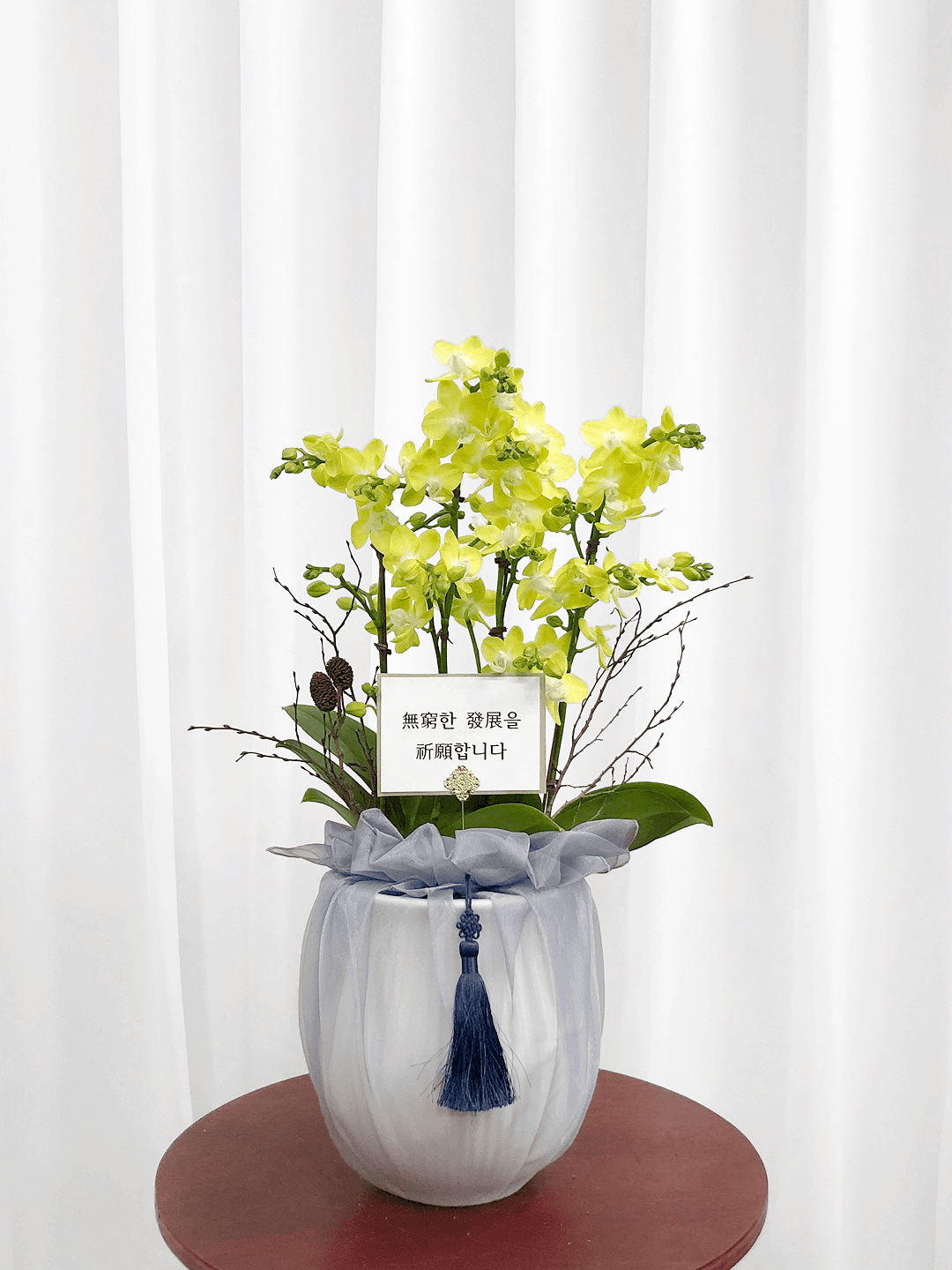 옐로 호접란 서양난 승진 영전 축하난 부모님 선물 꽃배달 개업화분 오픈 사무실이전 카페