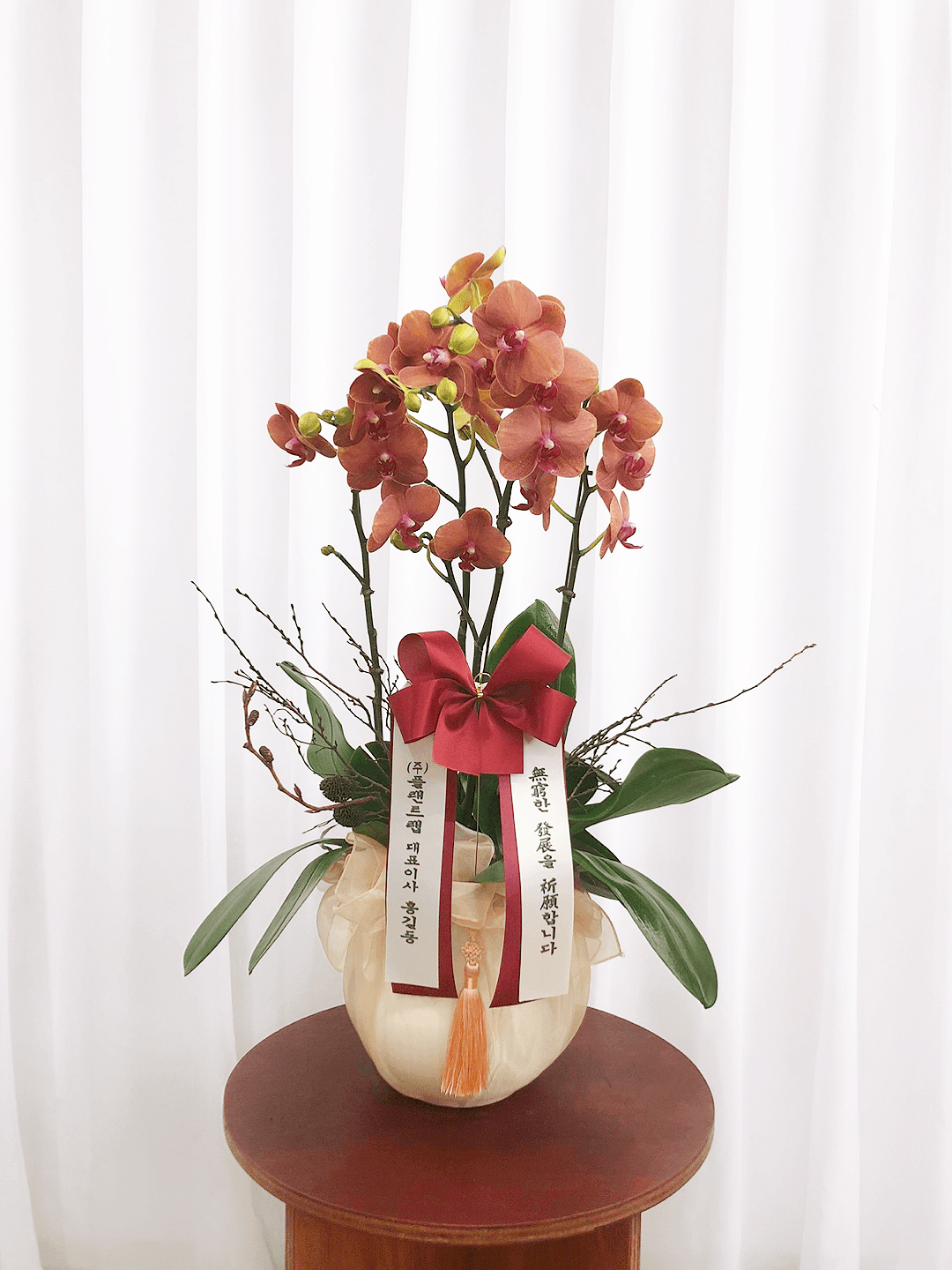 주황 호접란 서양난 주문제작 화분 집들이 선물 신혼집 거실 카페 개업 개원 축하 배달