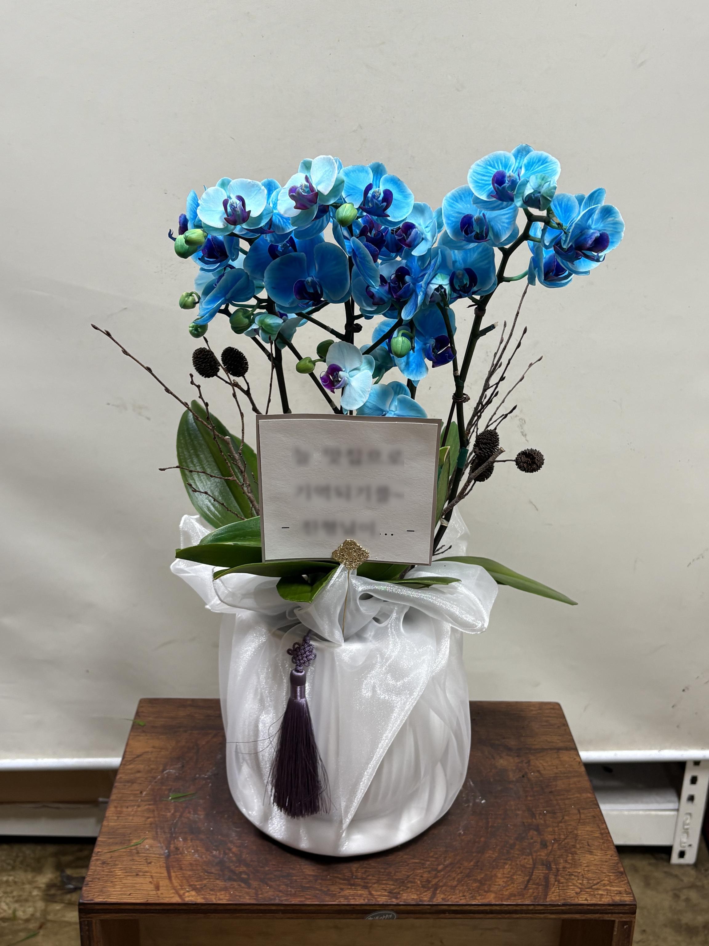리뷰사진-1