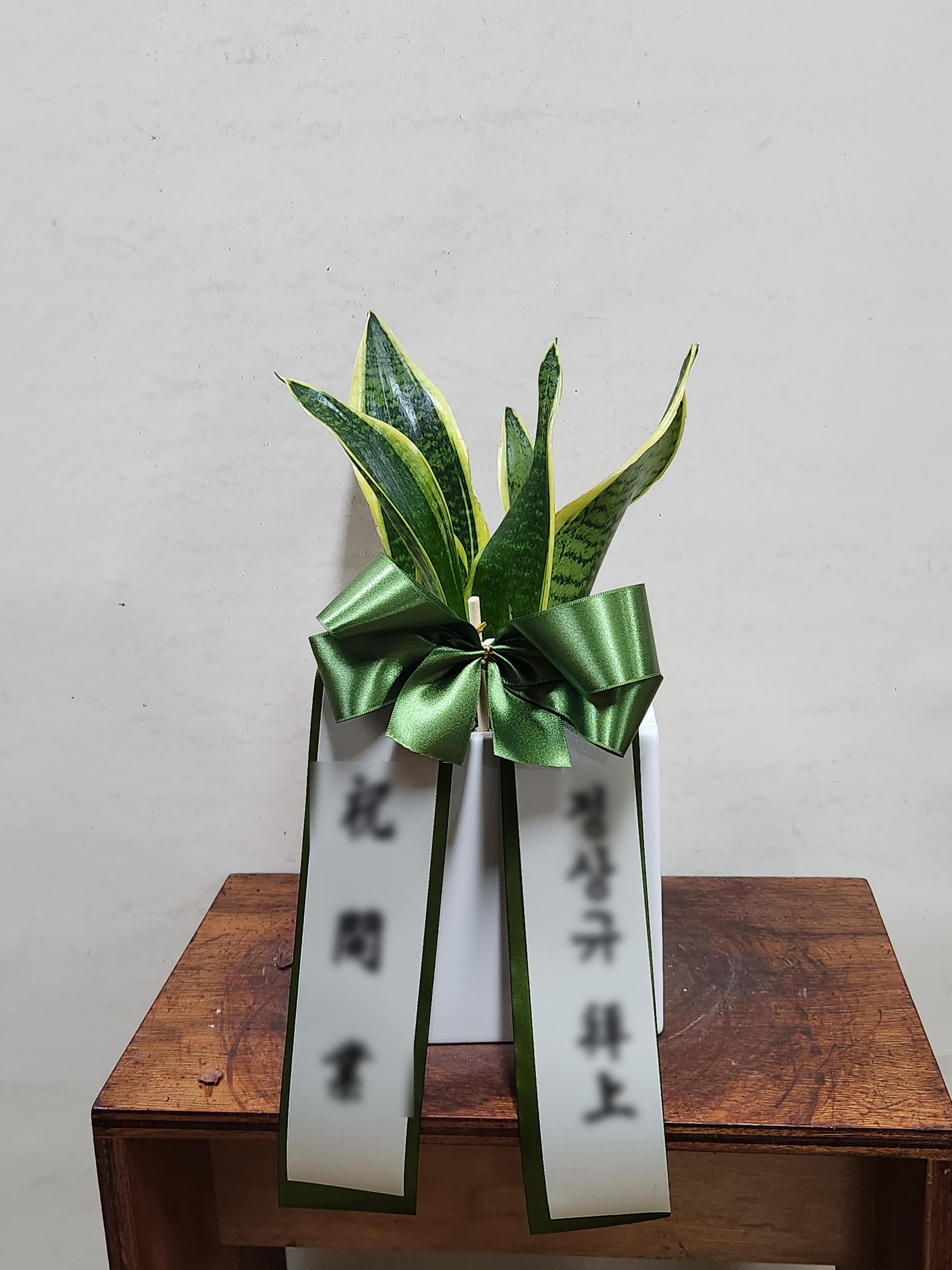 리뷰사진-0