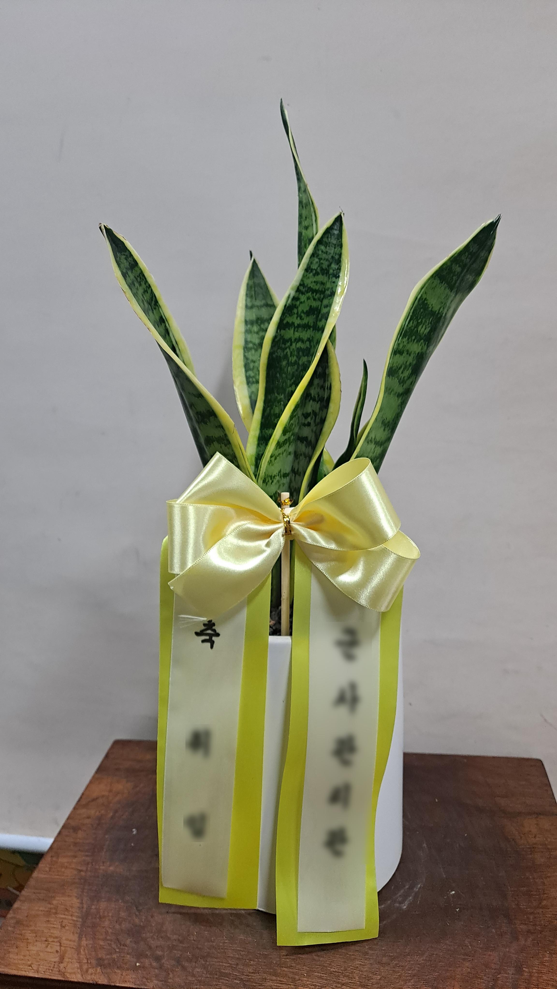 리뷰사진-0