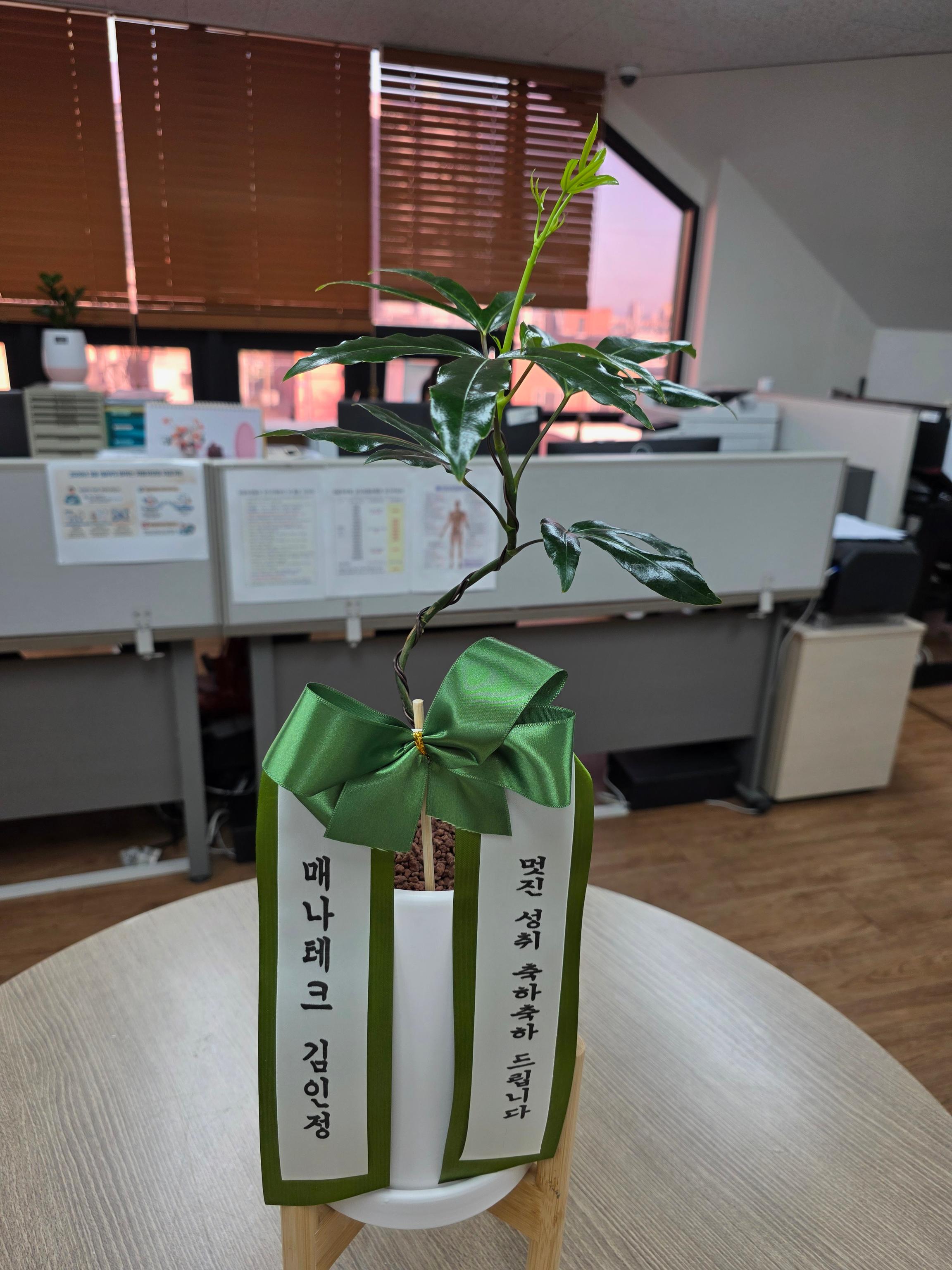 리뷰사진-0
